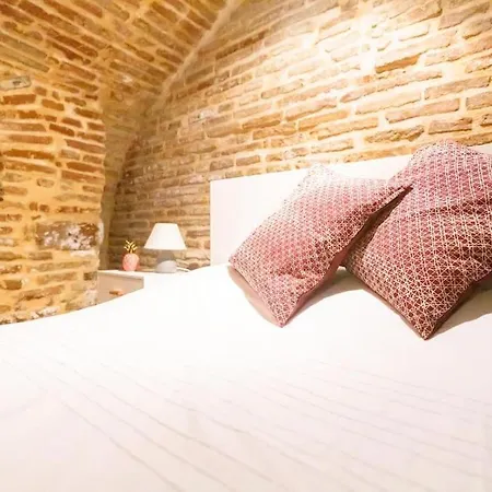 Le Nightflyer T2 Atypique De Brique Et En Cave Appartamento Tolosa