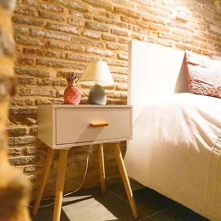 Le Nightflyer T2 Atypique De Brique Et En Cave Appartamento