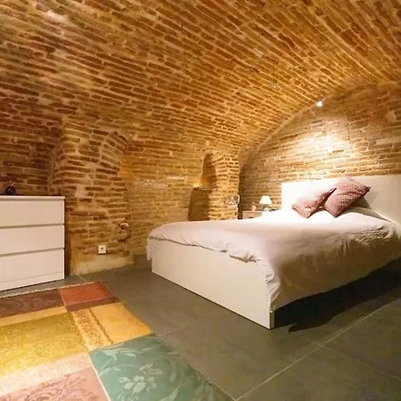 Appartamento Le Nightflyer T2 Atypique De Brique Et En Cave *