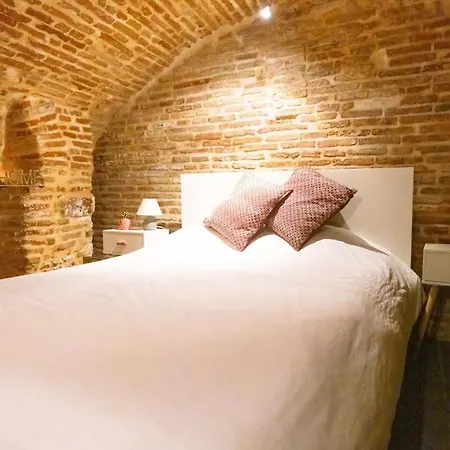 Le Nightflyer T2 Atypique De Brique Et En Cave Apartment *