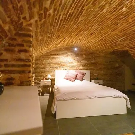 شقة Le Nightflyer T2 Atypique De Brique Et En Cave تولوز